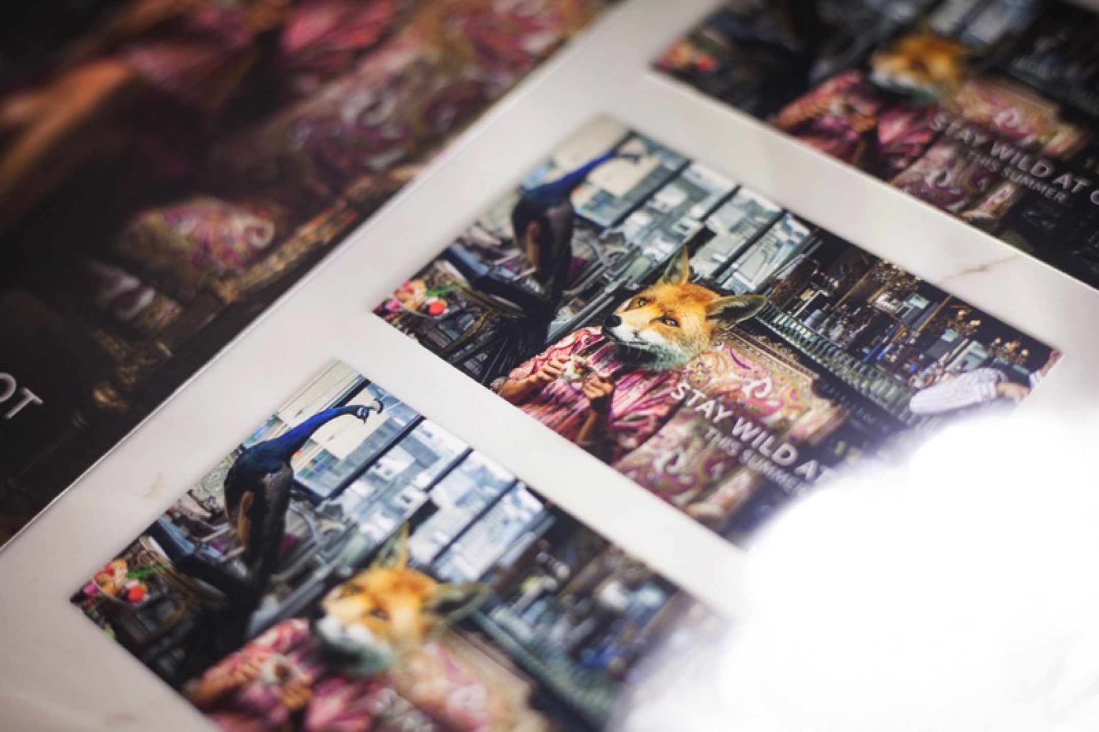 Matt laminated menu printing Wellington – durable, wipeable restaurant menus NZ