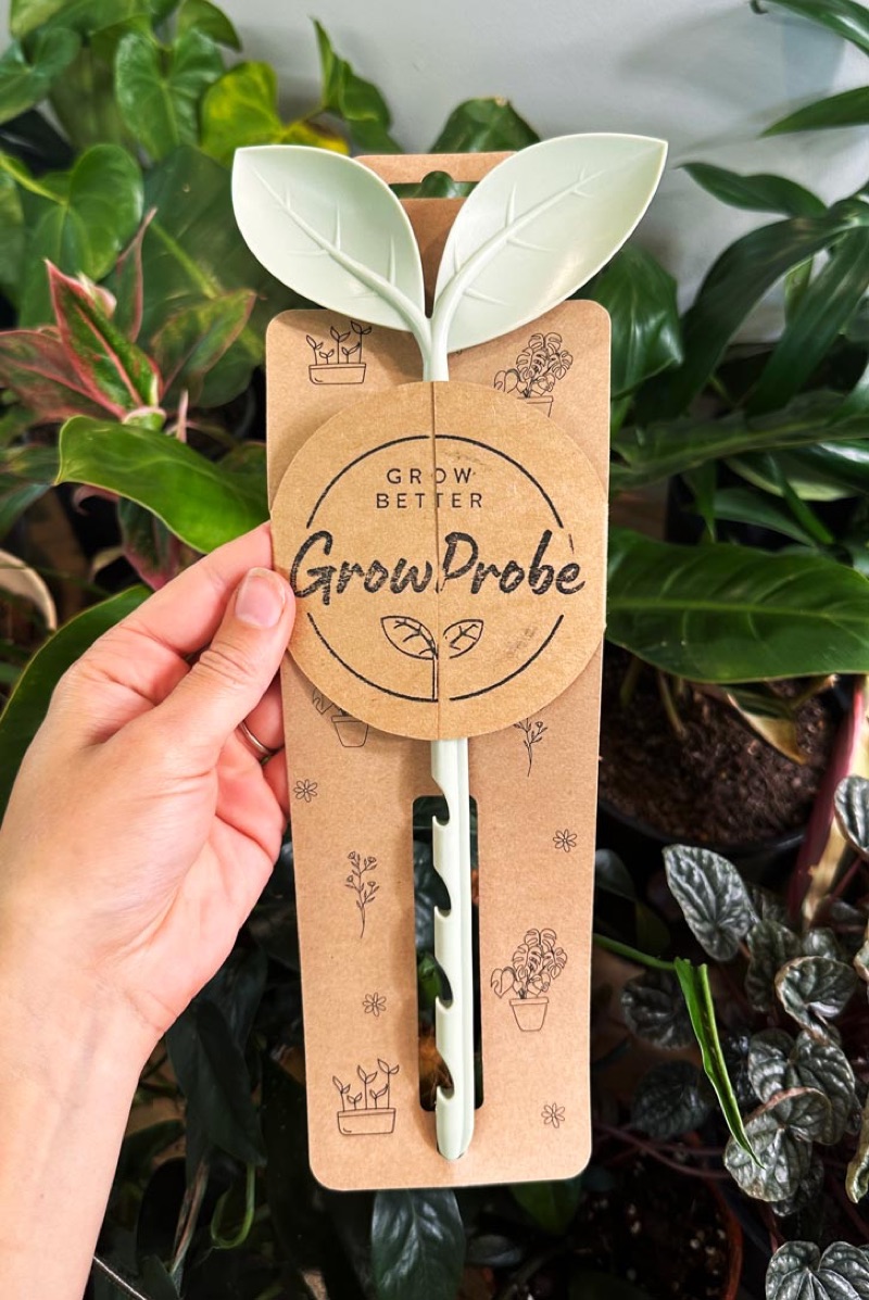 Producing Hangsell Packaging for GrowProbe