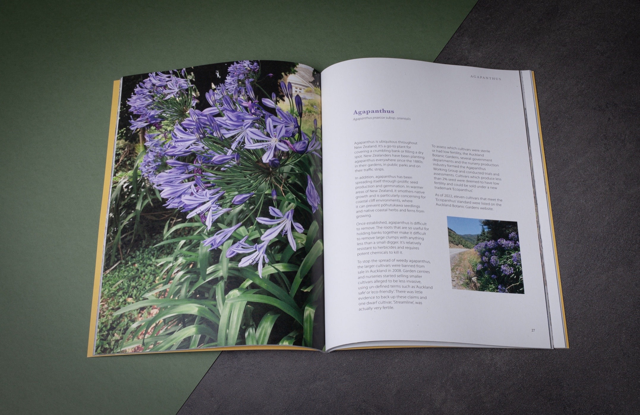 Uniting Weeds & Knitting: Printing A Remarkable Book Uniting Weeds & Knitting: Printing A Remarkable Book