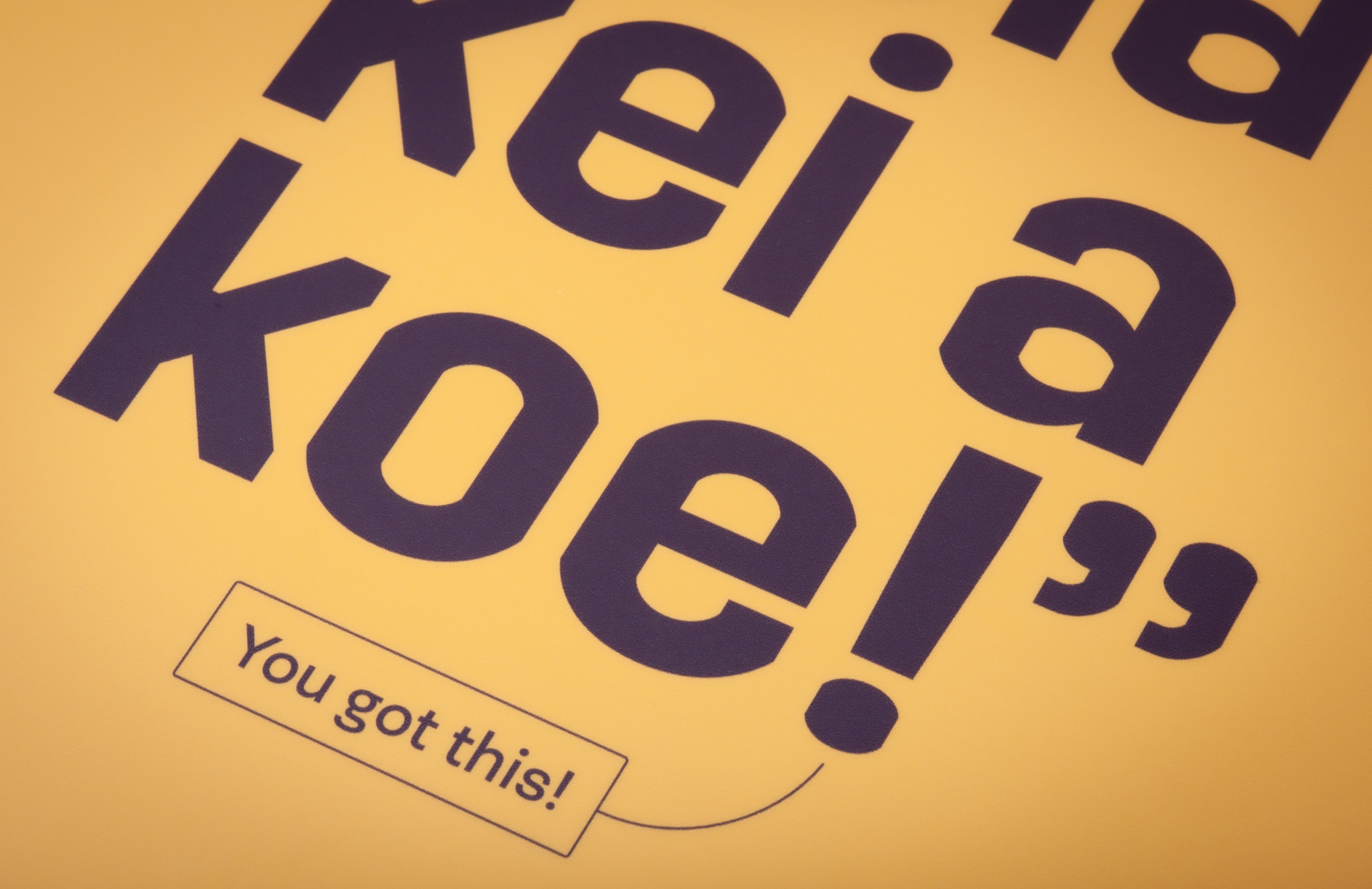 Bringing Te Reo Māori to Life: Printed Paylite Panels for the Māori Language Commission Bringing Te Reo Māori to Life: Printed Paylite Panels for the Māori Language Commission